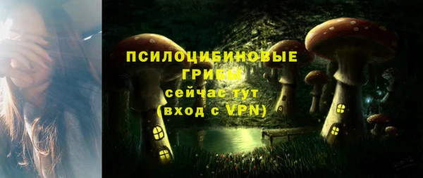 прущие грибы Алексин