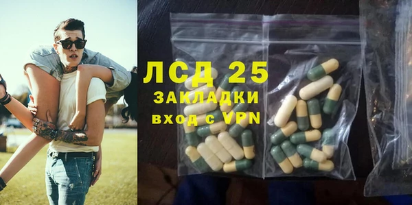 прущие грибы Алексин
