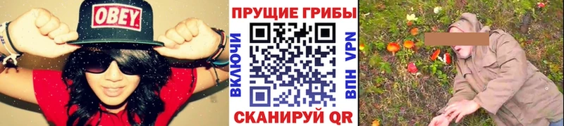 Галлюциногенные грибы Cubensis  Усть-Кут 